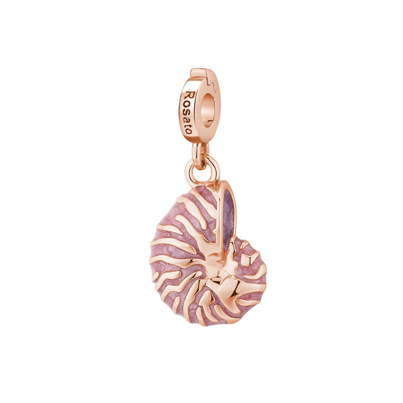 Charm concha nautilus